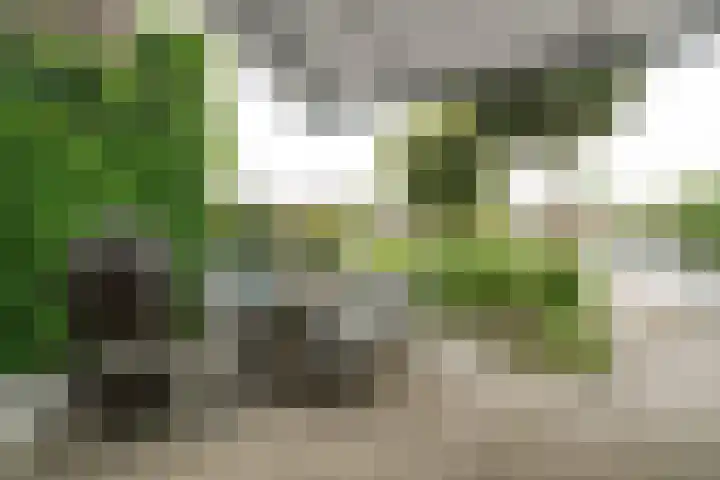 Haagweg 69 Leiden thumbnail 24