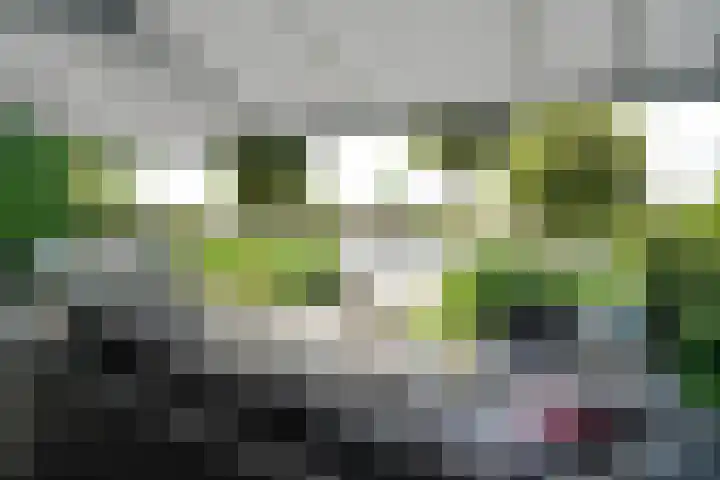 Haagweg 69 Leiden thumbnail 25