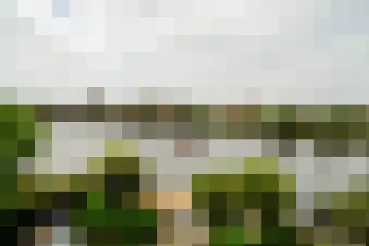 Haagweg 69 Leiden thumbnail 51