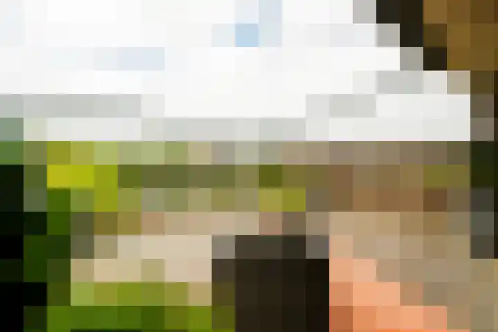 Haagweg 69 Leiden thumbnail 73