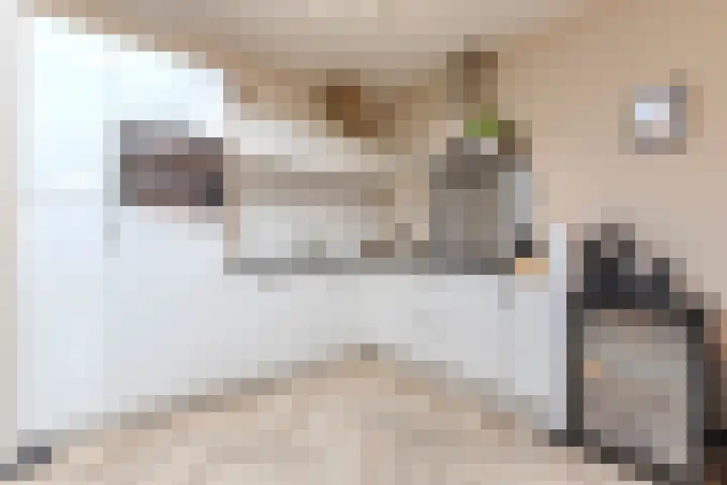 Haagweg 70 C Breda thumbnail 19