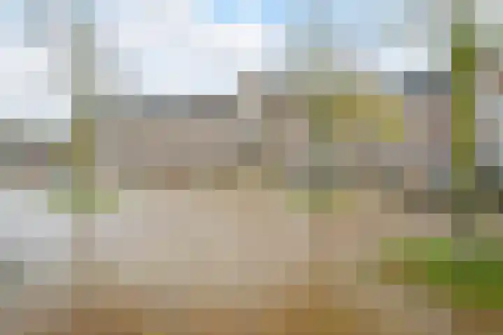 Haagweg 72 A Breda thumbnail 31