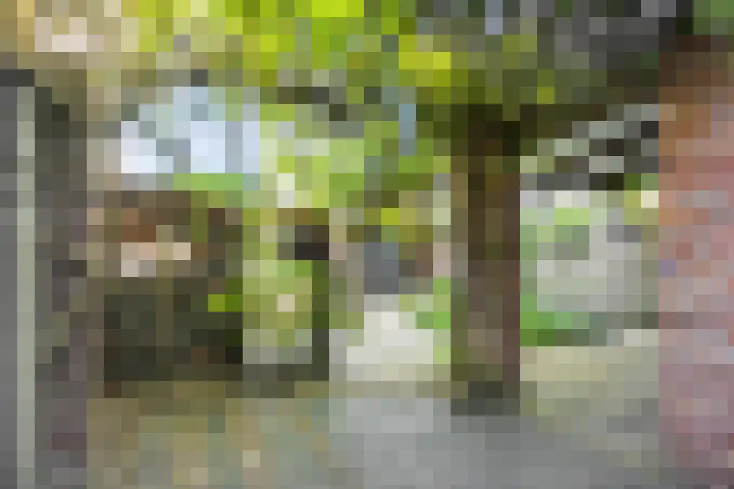 Haagweg 76 Breda thumbnail 34