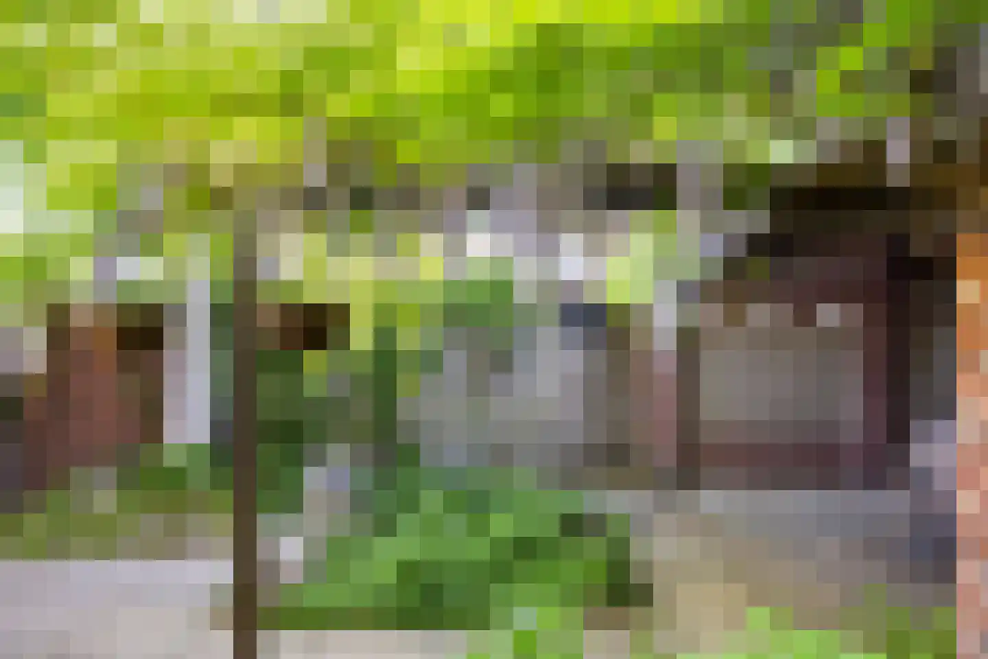 Haagweg 76 Breda thumbnail 39