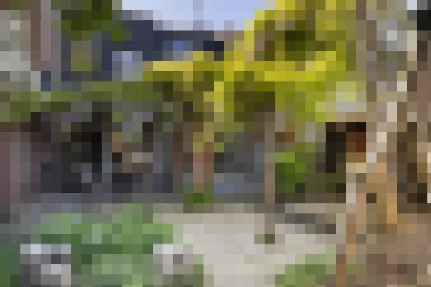Haagweg 76 Breda thumbnail 5