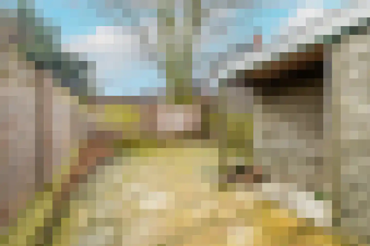 Haagweg 80 Rijswijk thumbnail 56