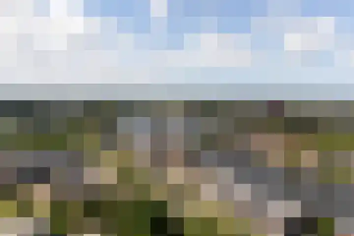 Haagweg 84 Leiden thumbnail 4