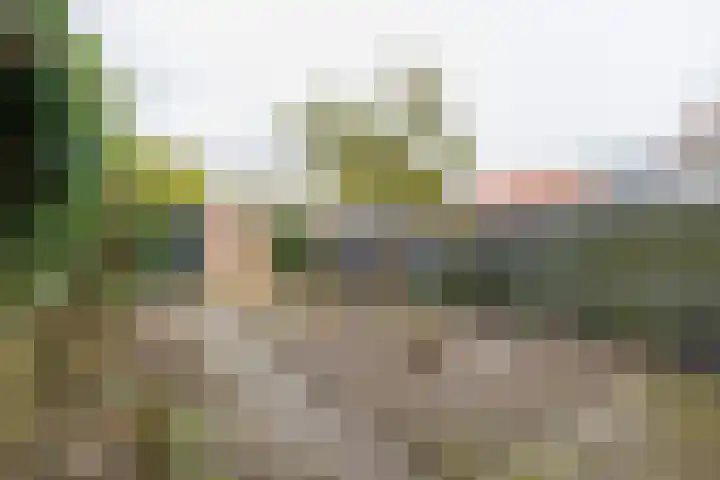 Haagwinde 1 Noordwijk thumbnail 12
