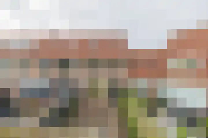 Haagwinde 1 Noordwijk thumbnail 15