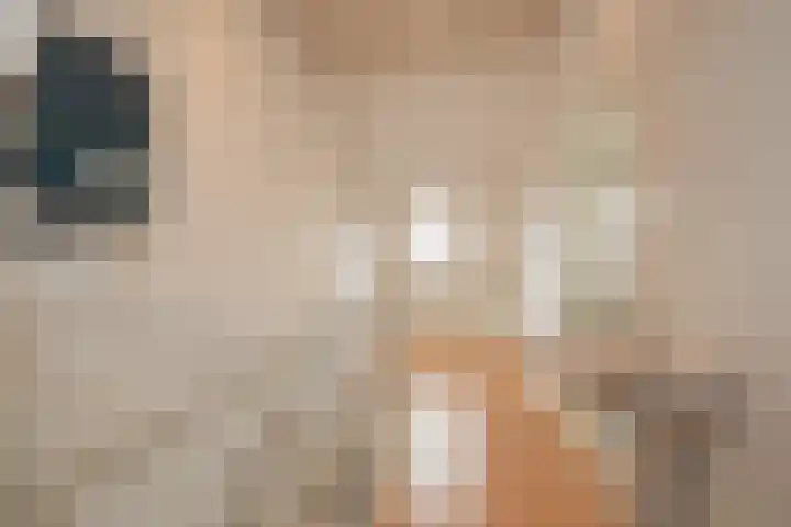 Haagwinde 1 Noordwijk thumbnail 30