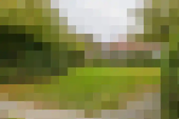 Haagwinde 1 Noordwijk thumbnail 35