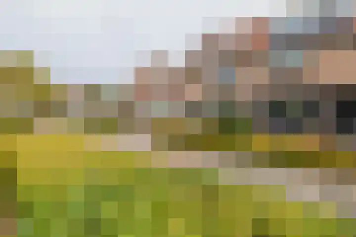Haagwinde 1 Noordwijk thumbnail 36