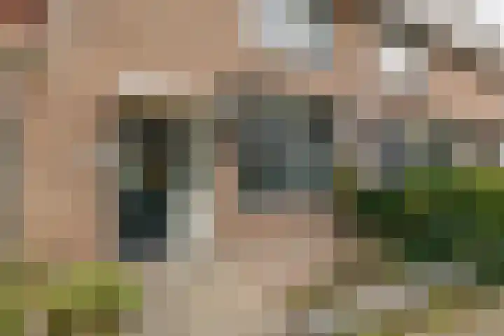 Haagwinde 1 Noordwijk thumbnail 4