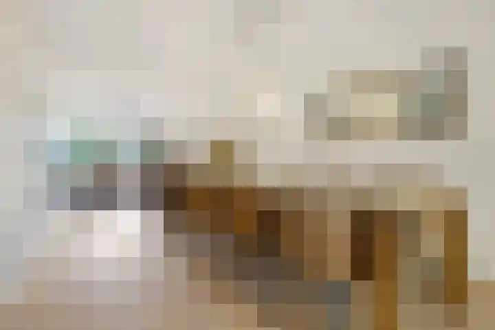 Haagwinde 10 Vught thumbnail 18