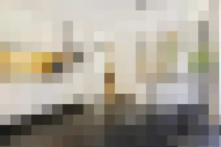 Haagwinde 10 Vught thumbnail 24