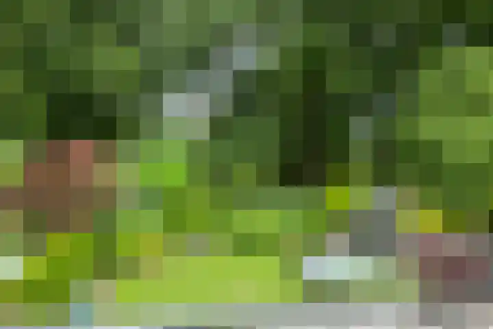 Haagwinde 10 Vught thumbnail 38