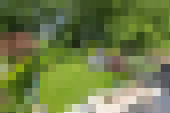 Haagwinde 10 Vught thumbnail 39