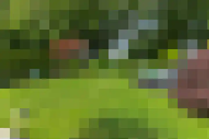 Haagwinde 10 Vught thumbnail 40