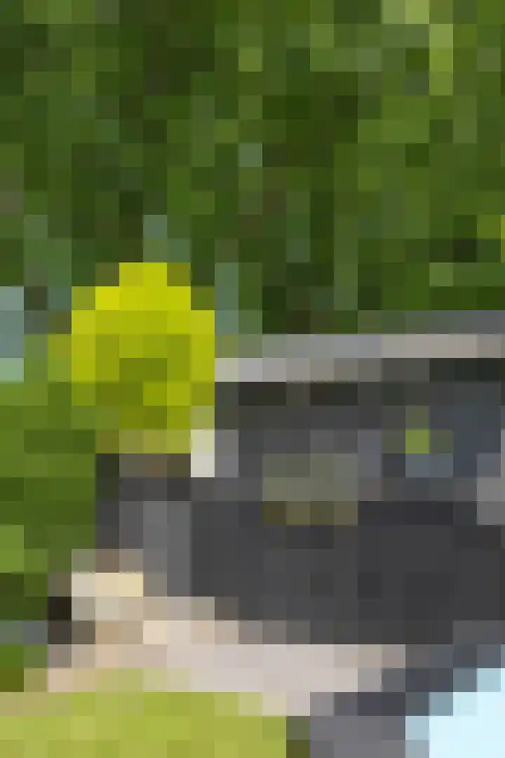 Haagwinde 10 Vught thumbnail 47