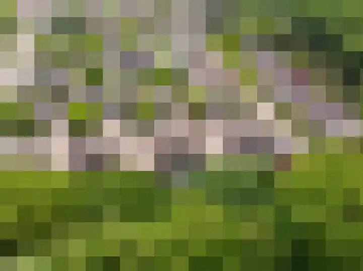 Haagwinde 10 Vught thumbnail 49