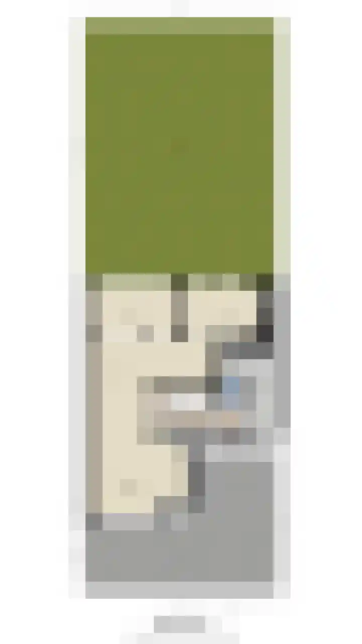 Haagwinde 10 Vught thumbnail 54