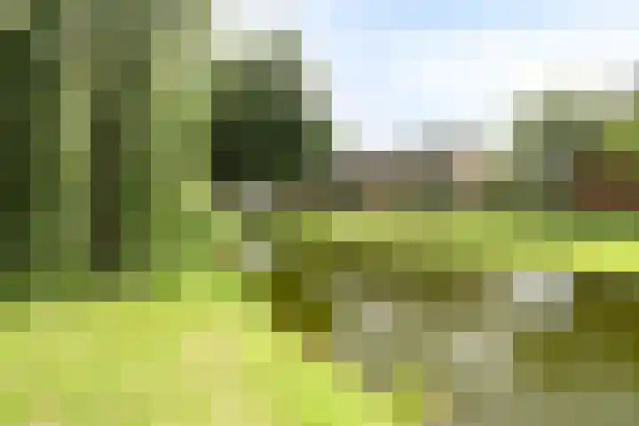 Haagwinde 12 Barendrecht thumbnail 32