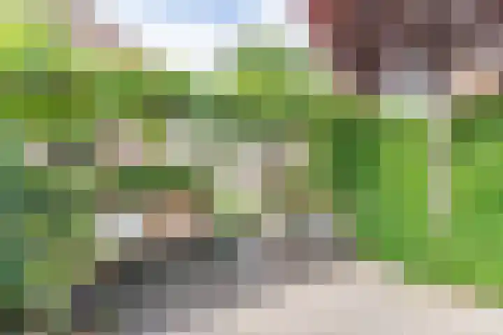 Haagwinde 12 Boskoop thumbnail 23