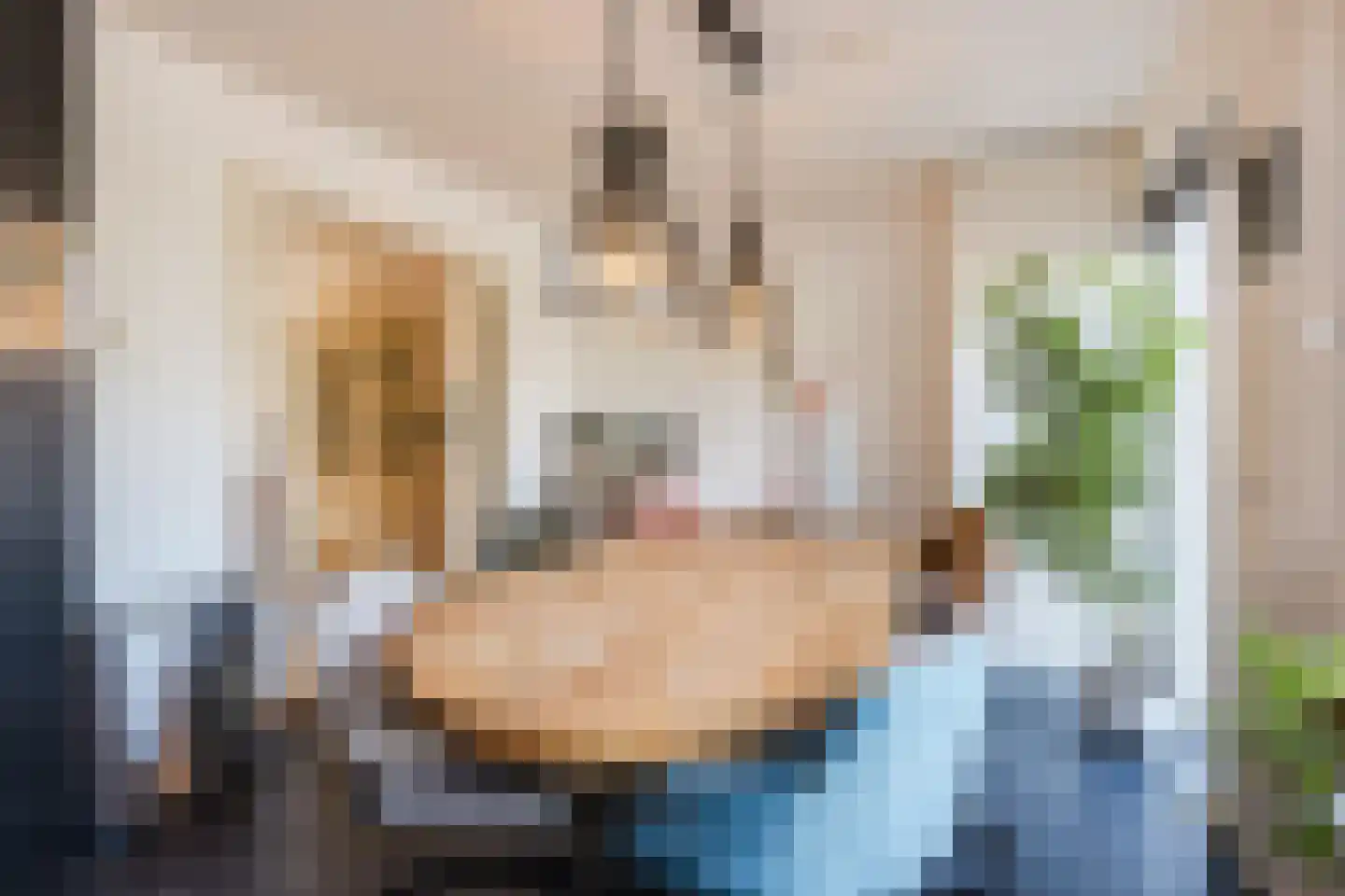 Haagwinde 13 Nieuwleusen thumbnail 15