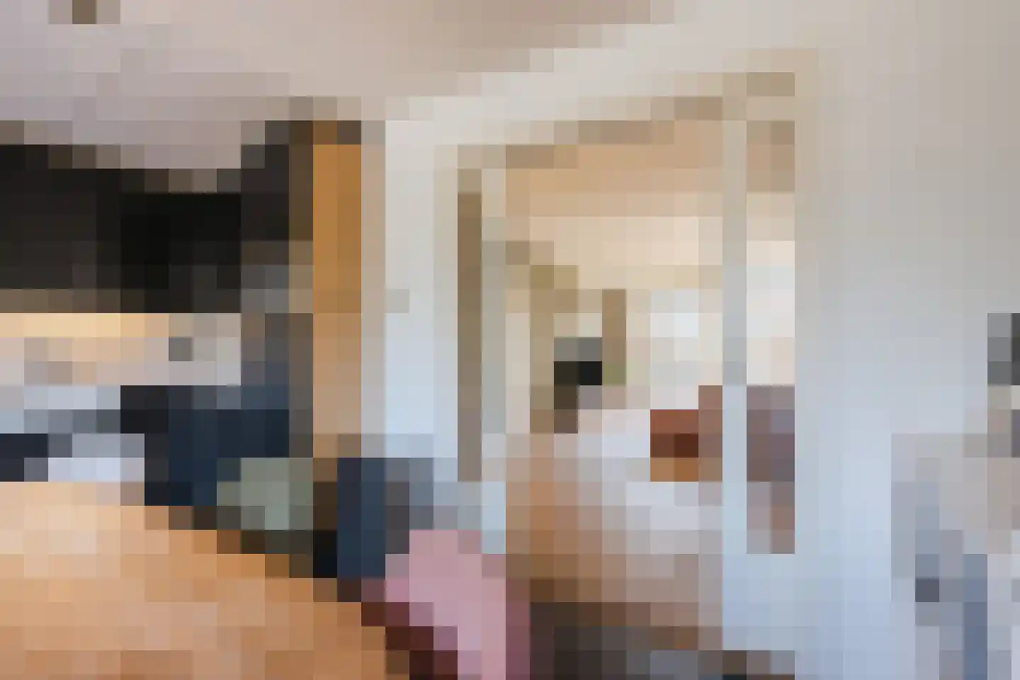 Haagwinde 13 Nieuwleusen thumbnail 16