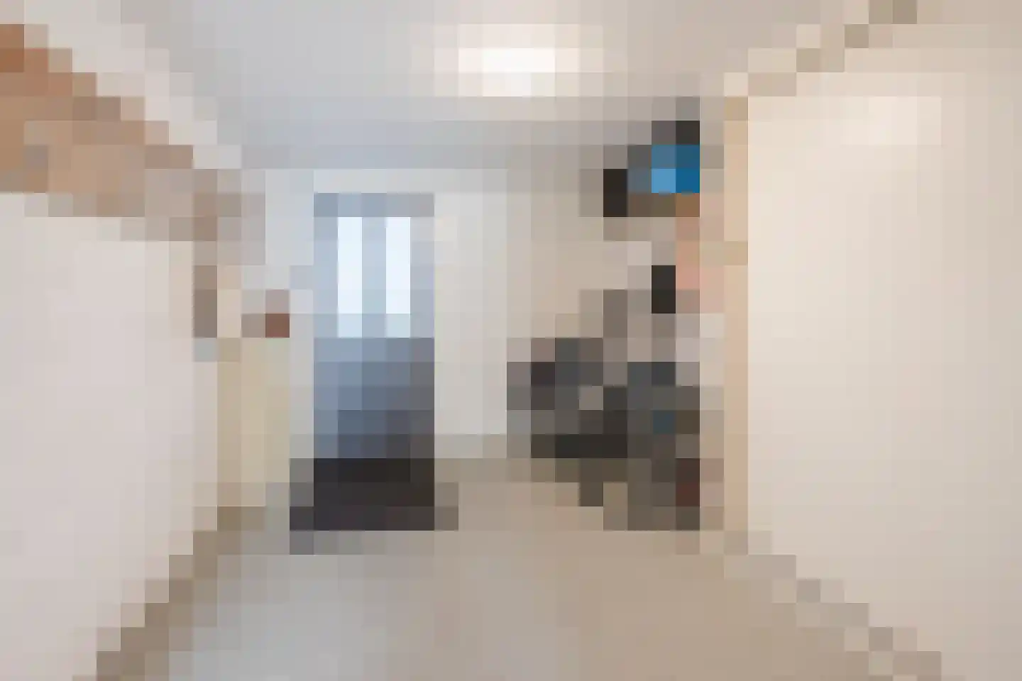 Haagwinde 13 Nieuwleusen thumbnail 20