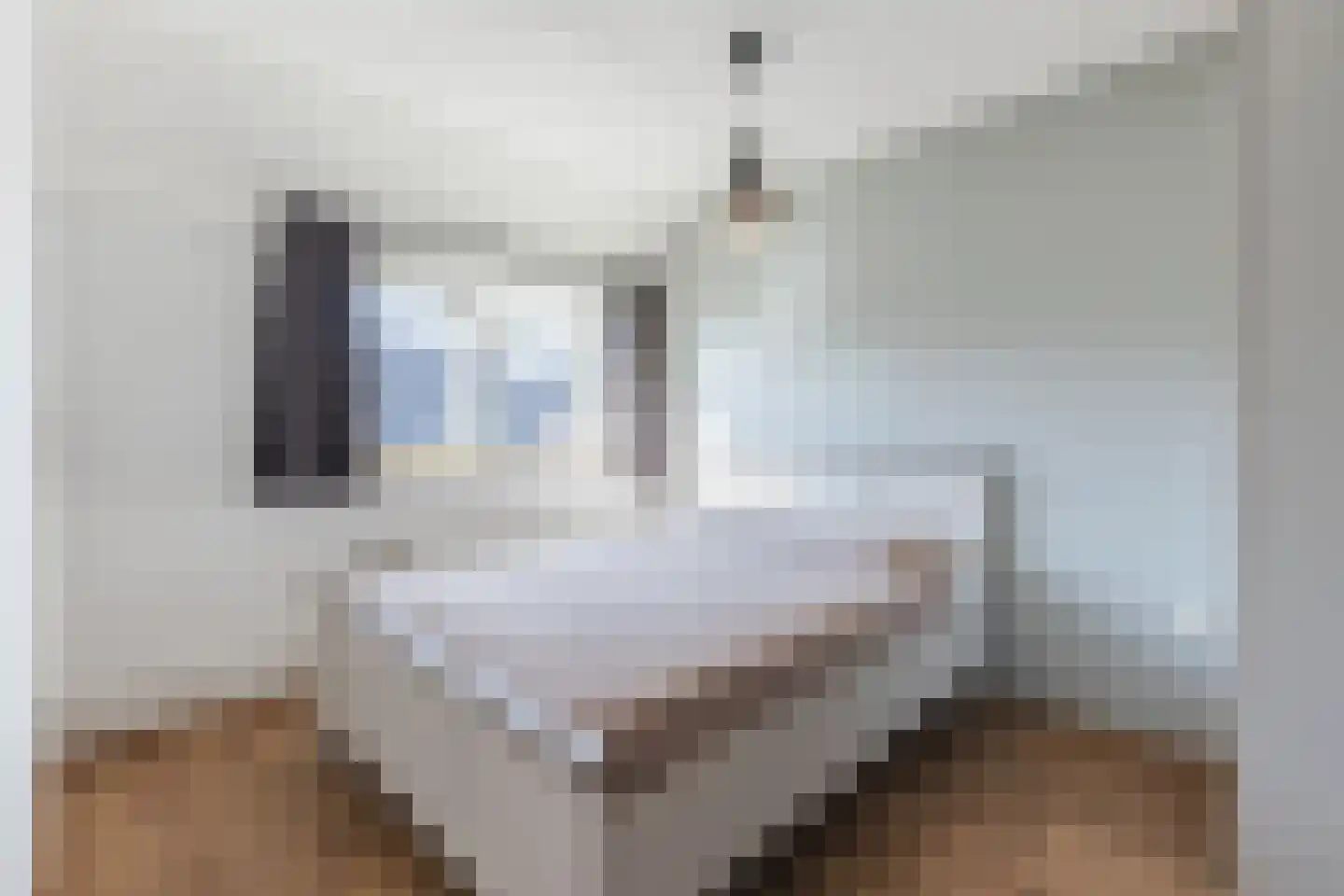 Haagwinde 13 Nieuwleusen thumbnail 28