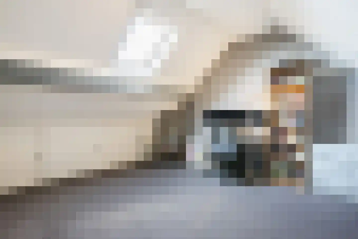 Haagwinde 13 Nieuwleusen thumbnail 34