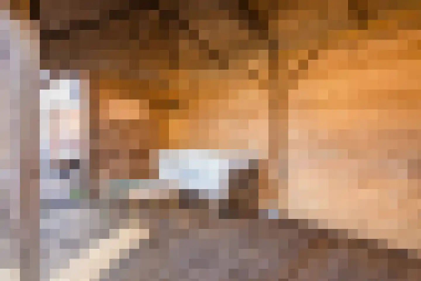 Haagwinde 13 Nieuwleusen thumbnail 41