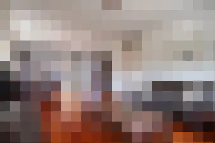 Haagwinde 14 Bladel thumbnail 11