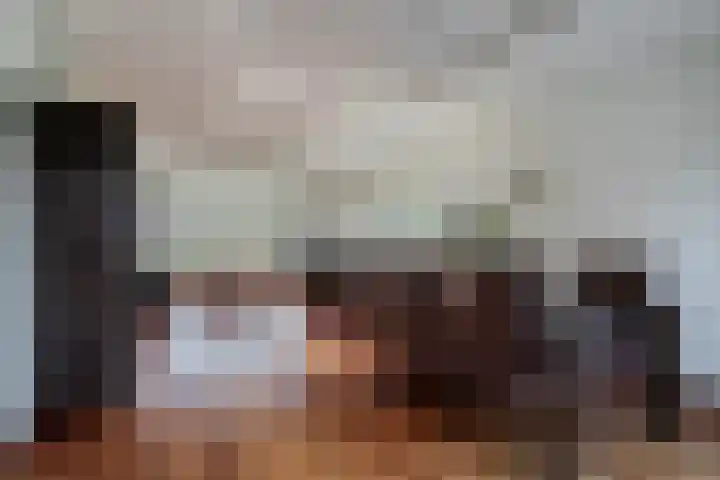 Haagwinde 14 Bladel thumbnail 13