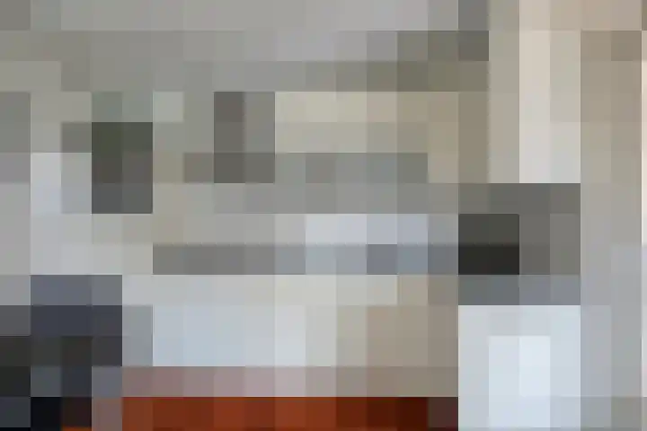 Haagwinde 14 Bladel thumbnail 15