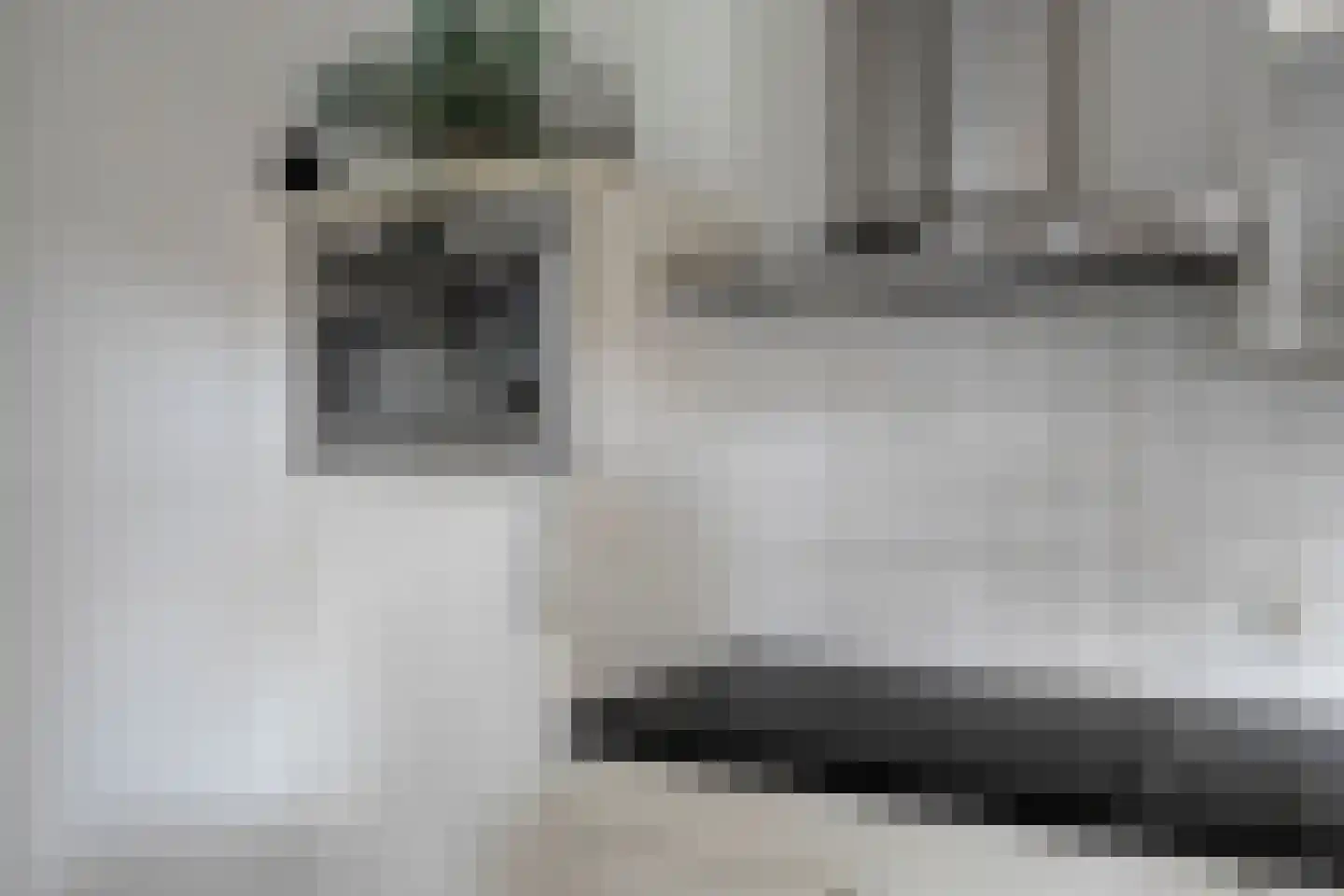 Haagwinde 14 Bladel thumbnail 17