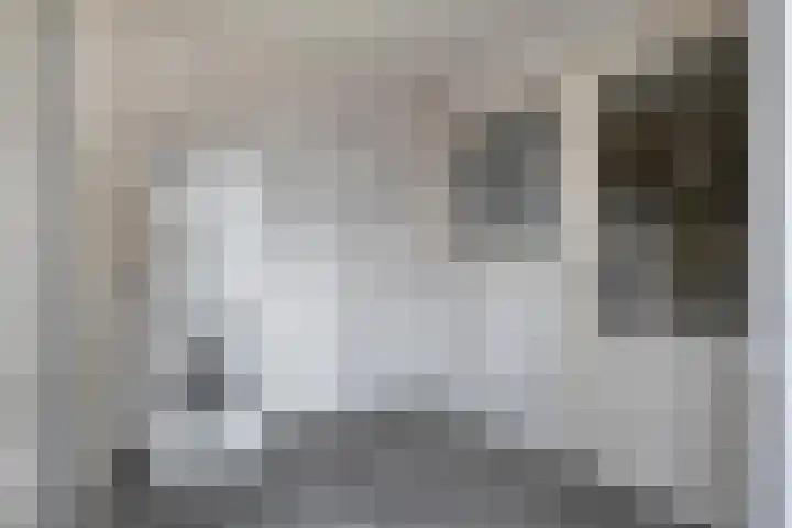 Haagwinde 14 Bladel thumbnail 18