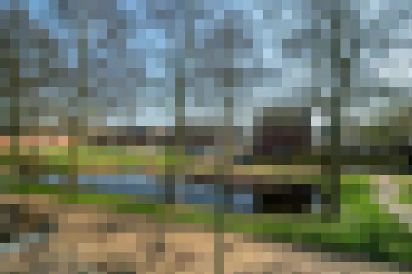Haagwinde 14 Bladel thumbnail 23