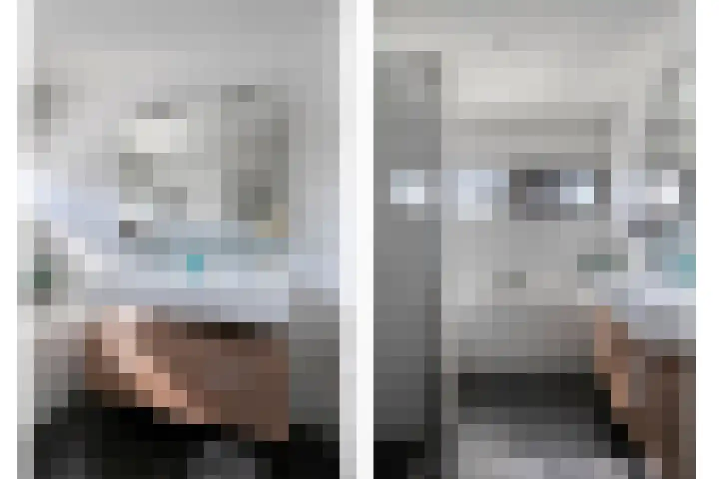 Haagwinde 14 Bladel thumbnail 24