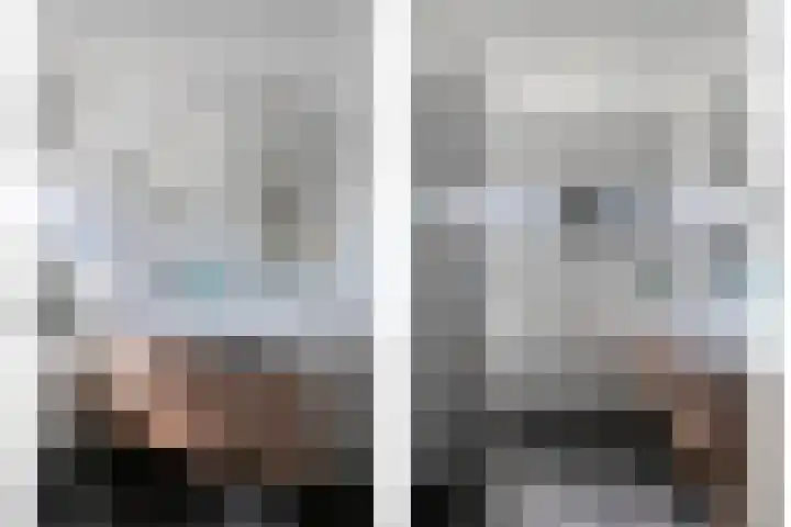 Haagwinde 14 Bladel thumbnail 24