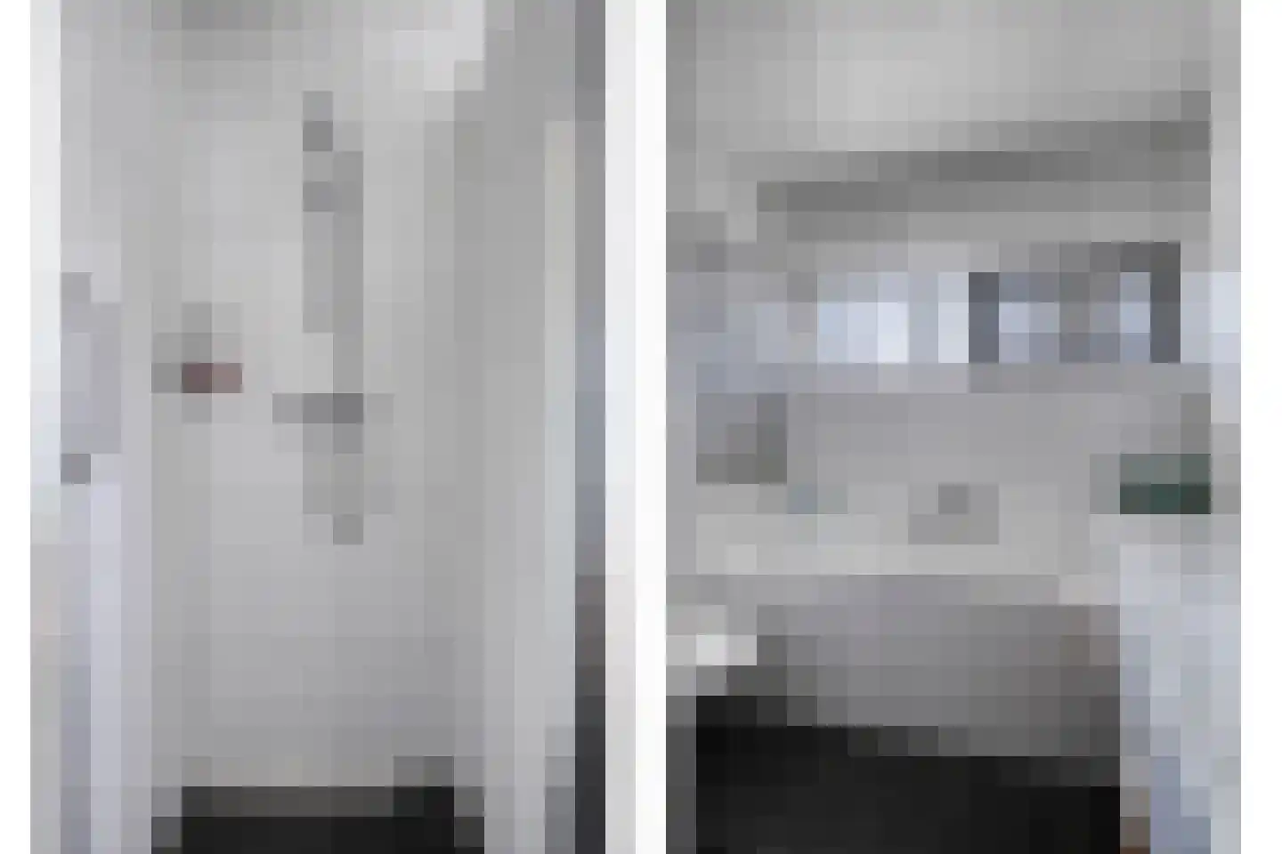 Haagwinde 14 Bladel thumbnail 25