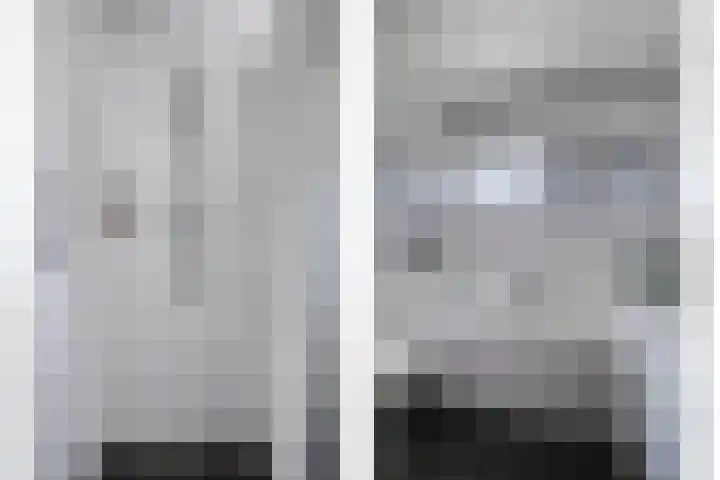 Haagwinde 14 Bladel thumbnail 25