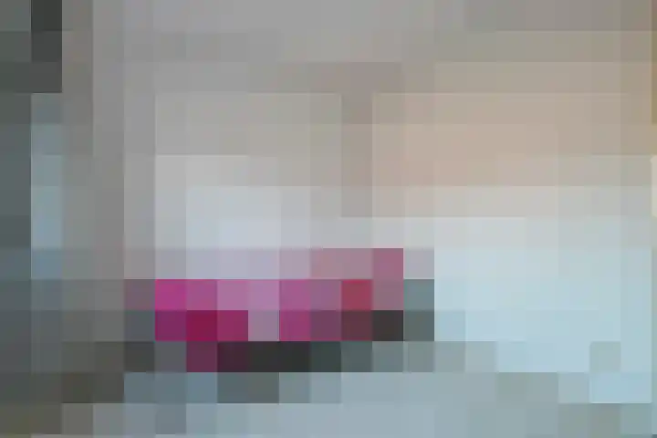 Haagwinde 14 Bladel thumbnail 29