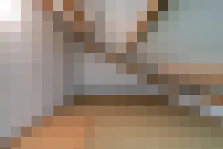 Haagwinde 14 Bladel thumbnail 31