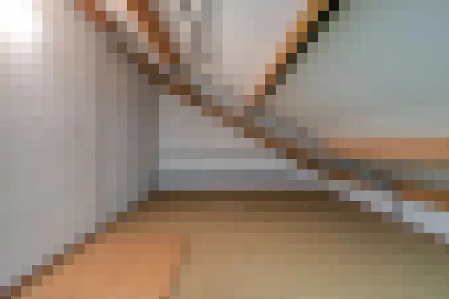 Haagwinde 14 Bladel thumbnail 31