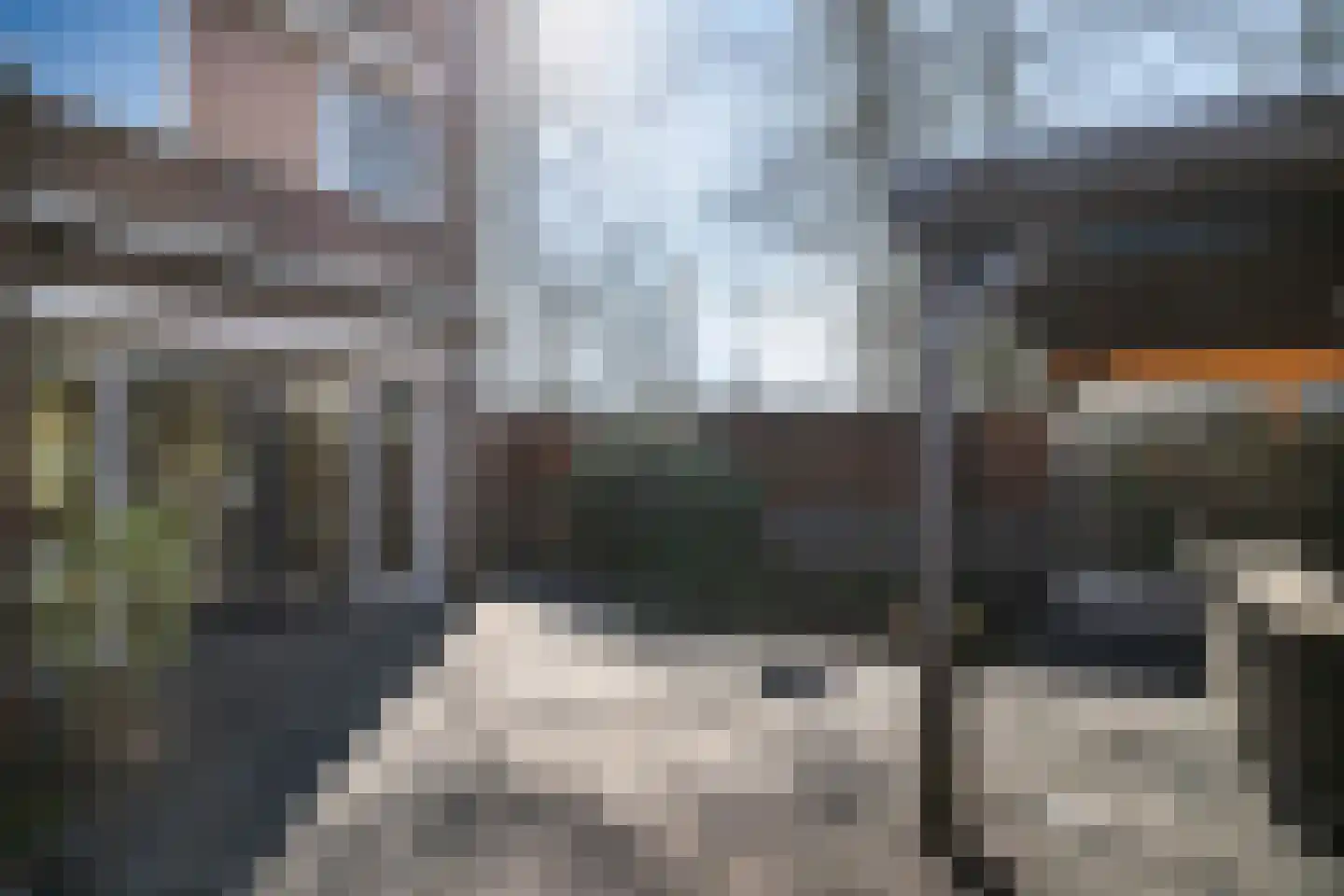 Haagwinde 14 Bladel thumbnail 33