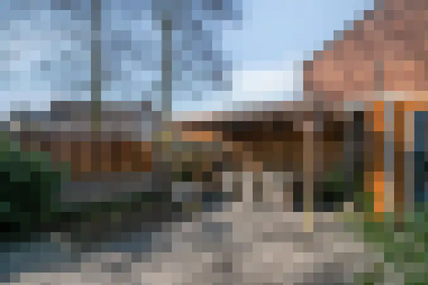 Haagwinde 14 Bladel thumbnail 34