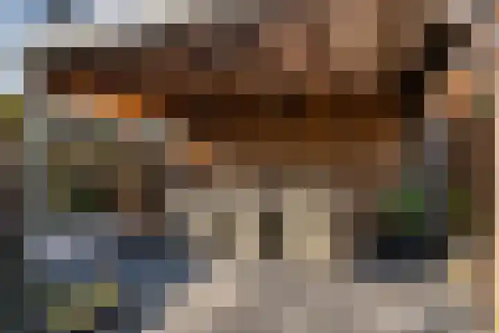 Haagwinde 14 Bladel thumbnail 36
