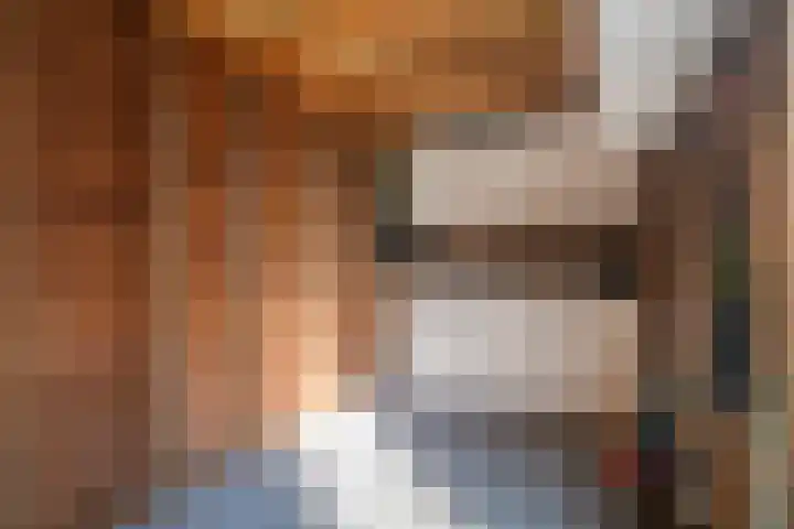 Haagwinde 14 Bladel thumbnail 37